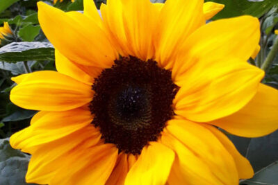 Wir feiern Geburtstag!